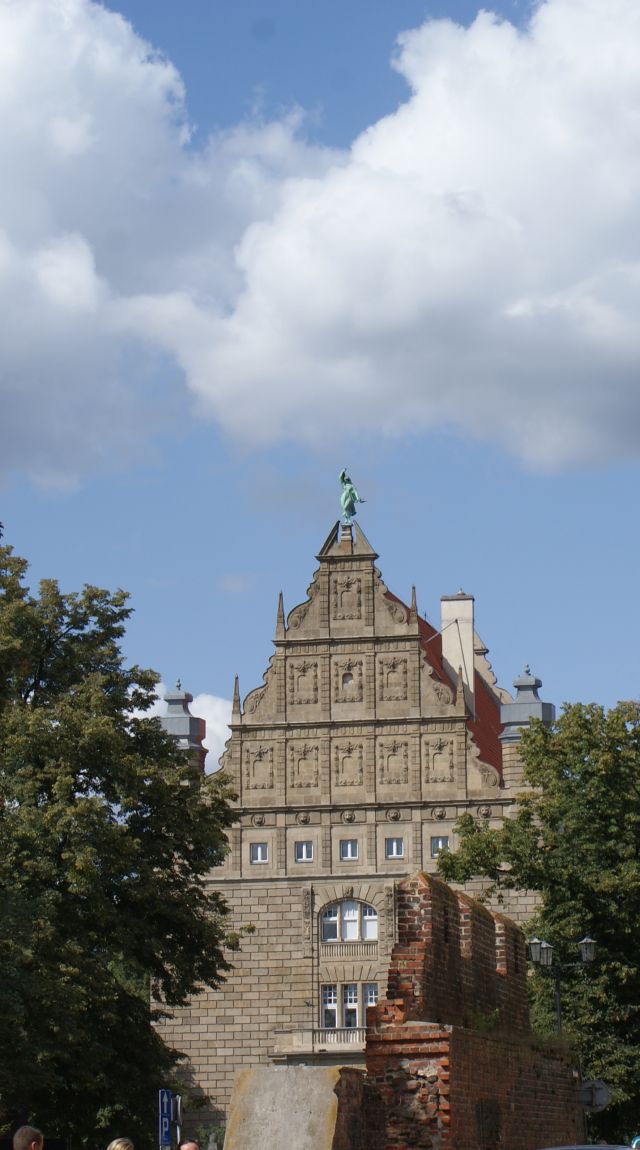 collegium maximum
